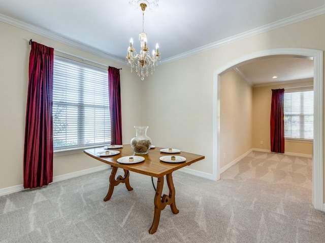 carpeted dining room with an inviting chandelier, a healthy amount of sunlight, and ornamental molding