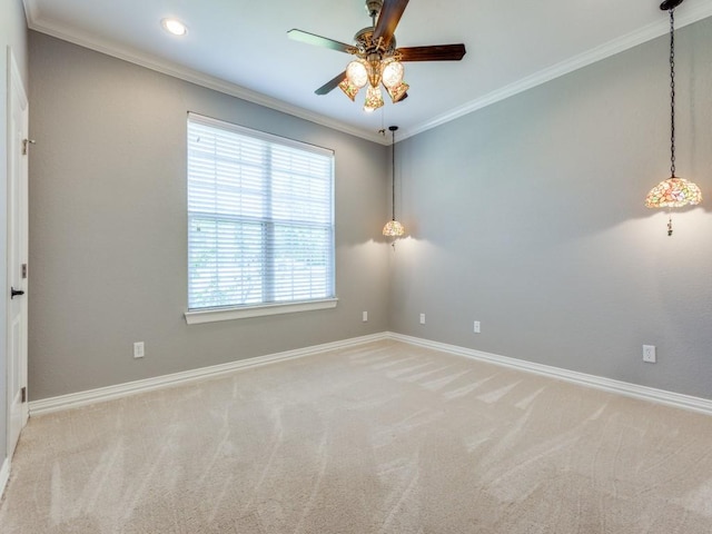 carpeted spare room with ceiling fan and crown molding