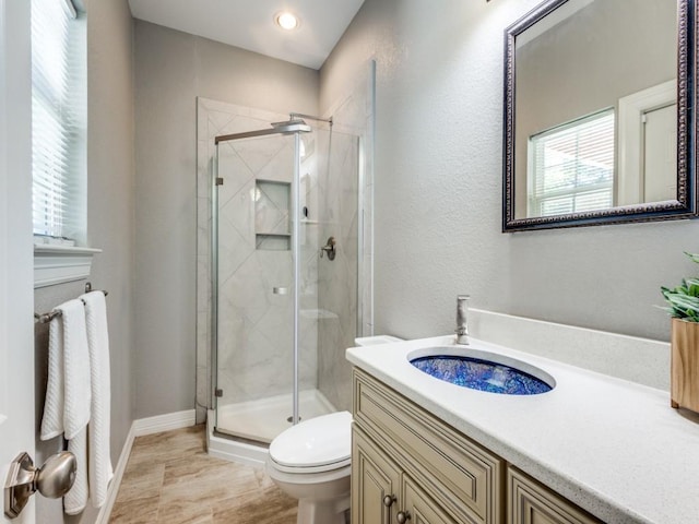 bathroom with vanity, toilet, and a shower with shower door