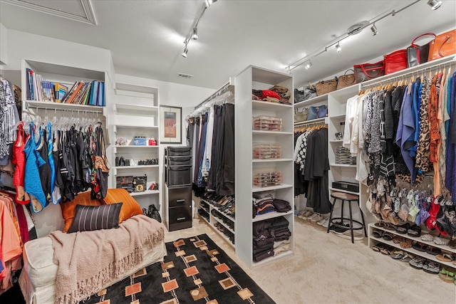 view of walk in closet