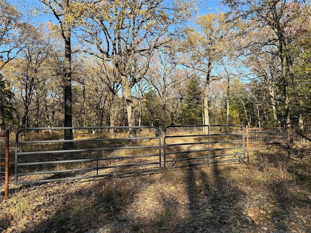 0000 County Road 2418, Honey Grove TX, 75446 land for sale