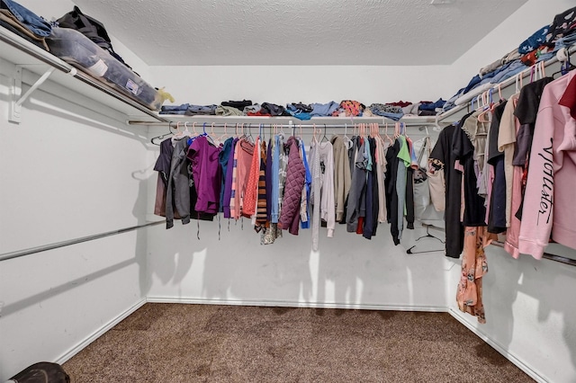 spacious closet with carpet floors