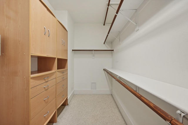 spacious closet with light carpet