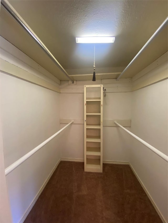 spacious closet with dark colored carpet