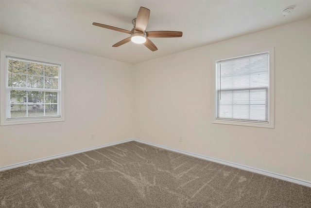 unfurnished room featuring ceiling fan and carpet floors