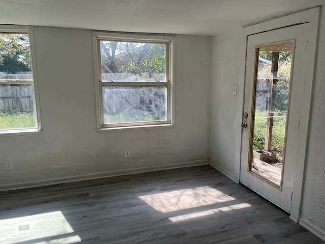 interior space with dark hardwood / wood-style flooring