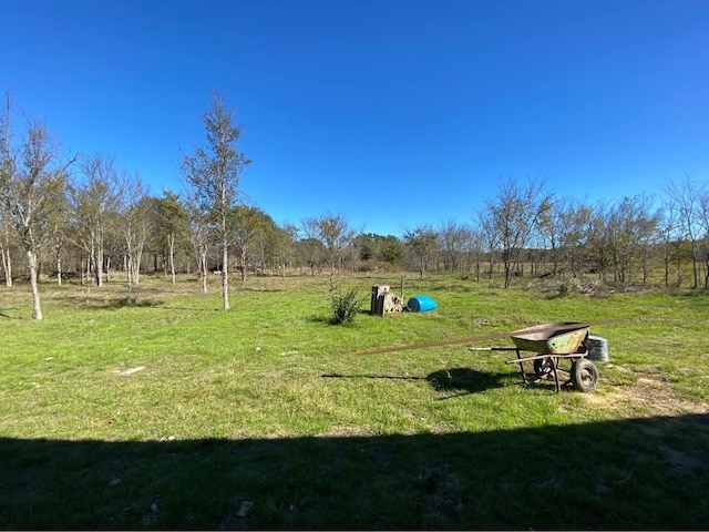 view of yard featuring a rural view