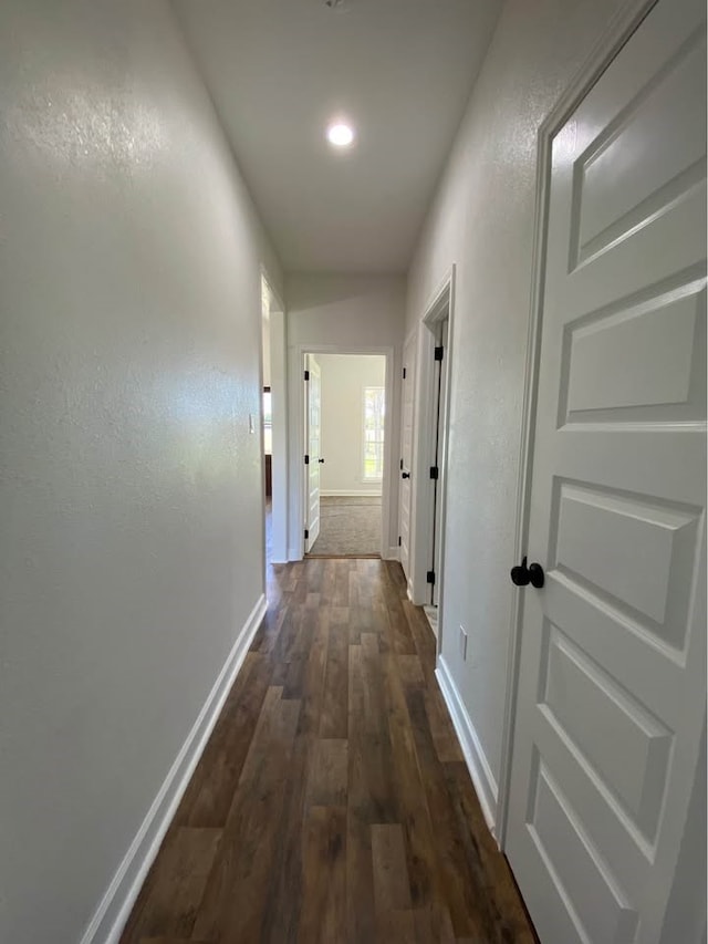 hallway featuring dark wood-type flooring