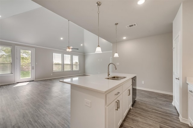 kitchen featuring a kitchen island with sink, sink, white cabinets, and dark hardwood / wood-style floors