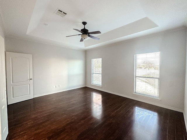 empty room with a tray ceiling and a healthy amount of sunlight