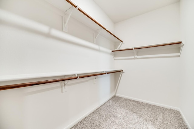 walk in closet featuring light colored carpet