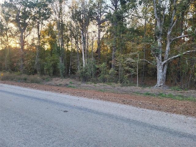 4184 Fm 2120, Bagwell, TX 75412