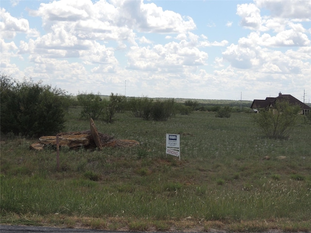 Listing photo 3 for LOT50 Mourning Dove Ct, Graford TX 76449