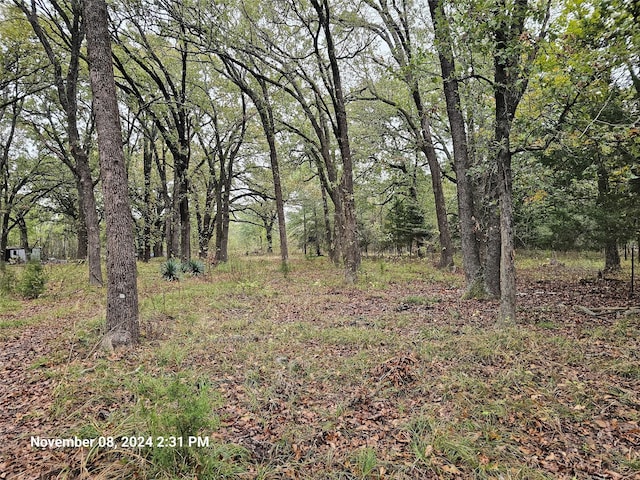 Listing photo 2 for TBD County Road 4735, Cumby TX 75433