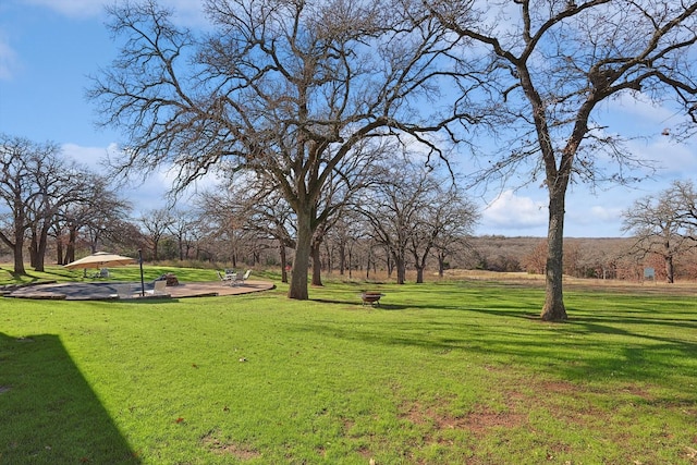 view of home's community with a lawn