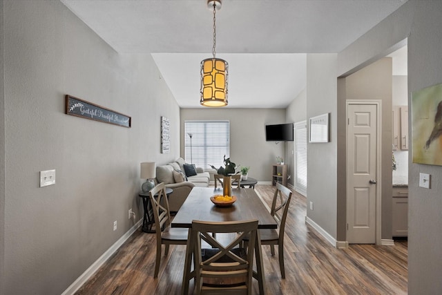 dining room with dark hardwood / wood-style floors