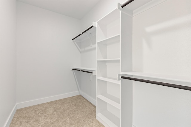 walk in closet featuring light carpet