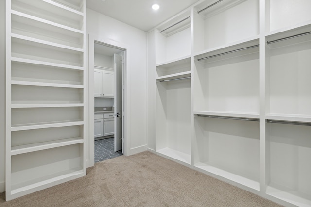 spacious closet with light carpet