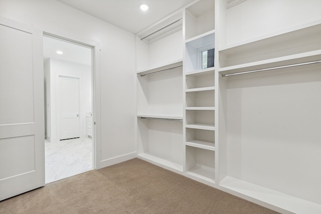 spacious closet featuring light colored carpet