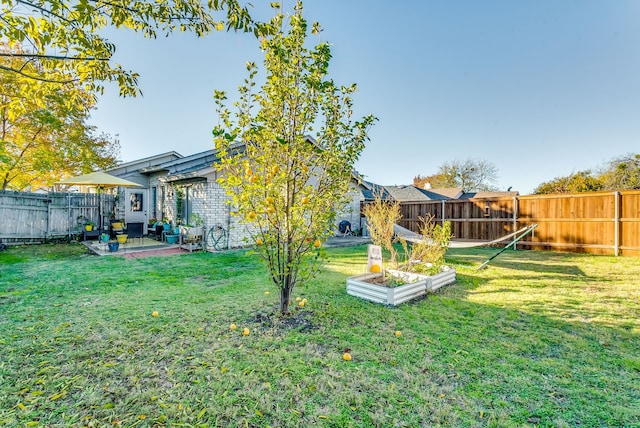 view of yard with a patio