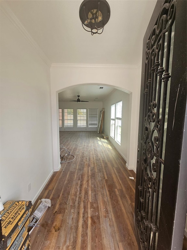 hallway featuring dark hardwood / wood-style flooring and ornamental molding