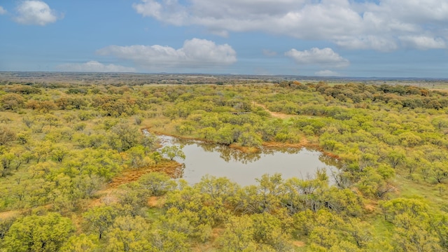 191-AC Fm 2945, Cisco TX, 76437 land for sale