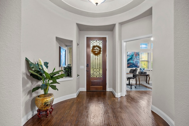 foyer with dark wood-type flooring