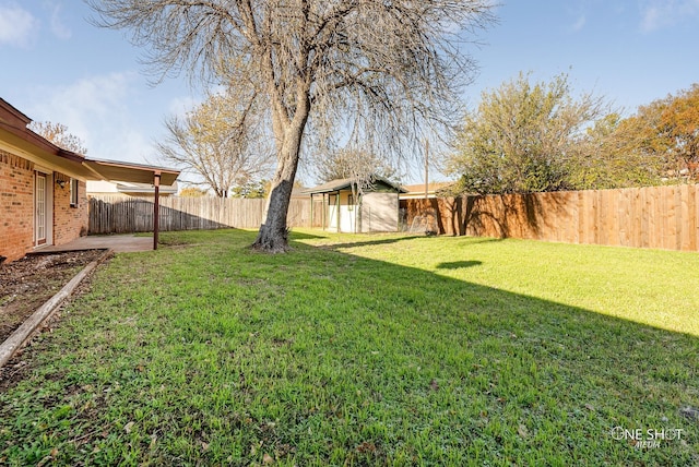 view of yard featuring a storage shed