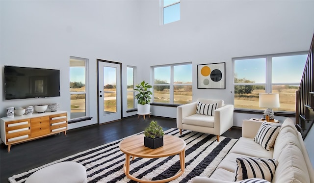 living room featuring dark hardwood / wood-style flooring and a towering ceiling