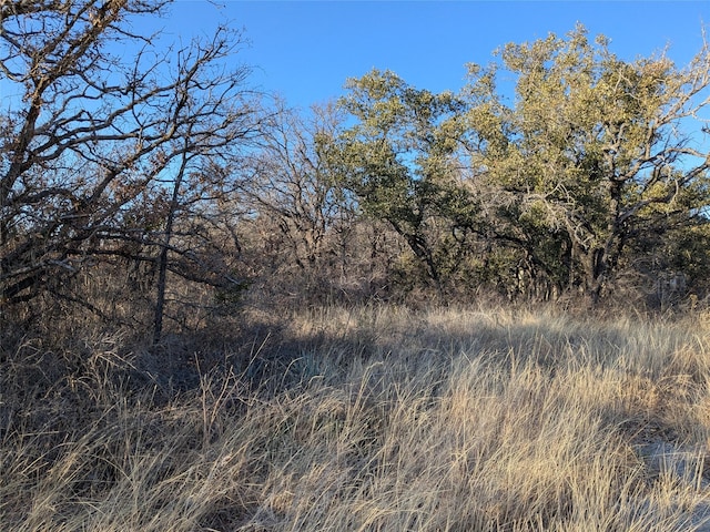 Address Not Disclosed, Brownwood TX, 76801 land for sale