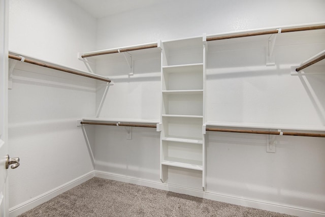 walk in closet with carpet