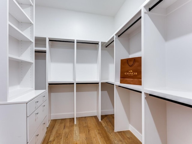 spacious closet with light hardwood / wood-style flooring