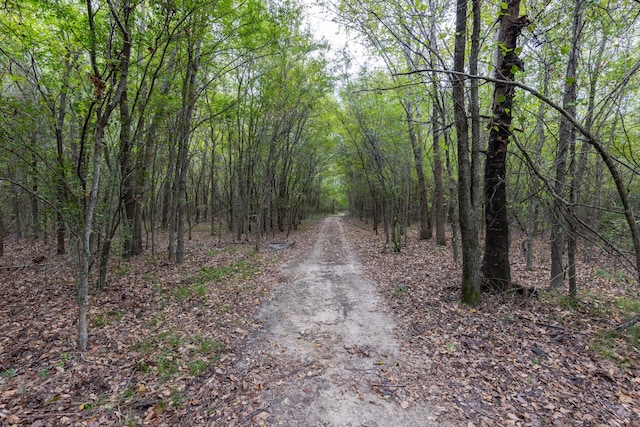 view of road