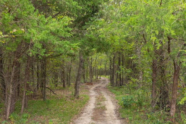 view of nature