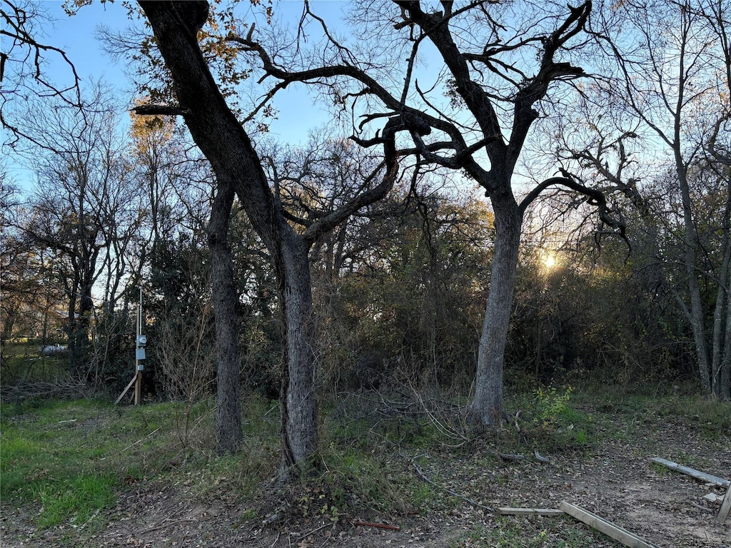 view of local wilderness