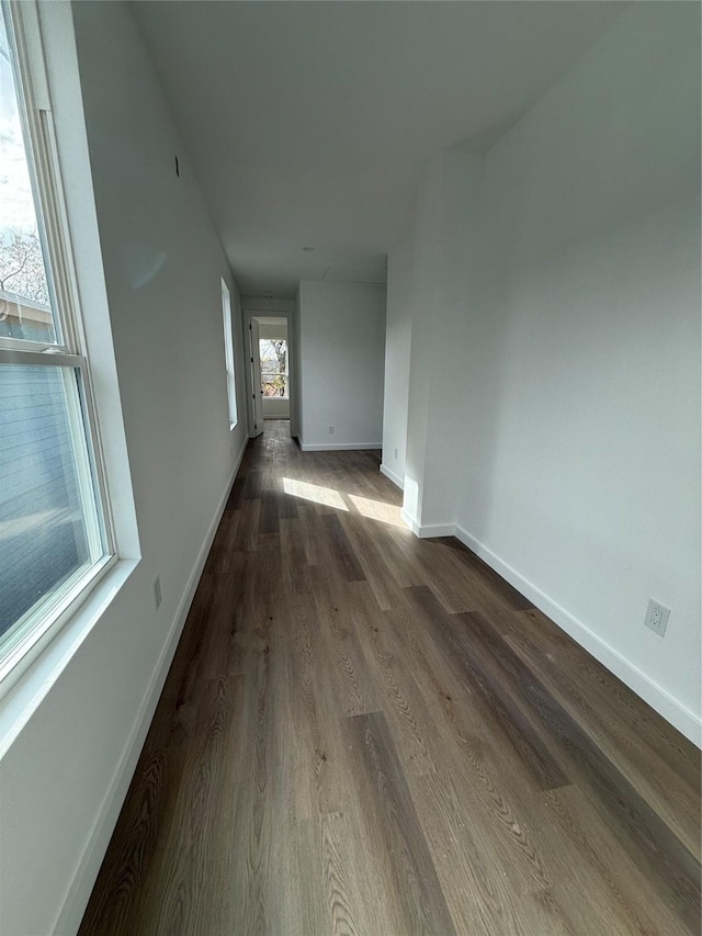 empty room with a wealth of natural light and hardwood / wood-style flooring