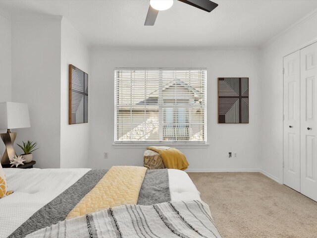 carpeted bedroom with multiple windows, ornamental molding, ceiling fan, and a closet