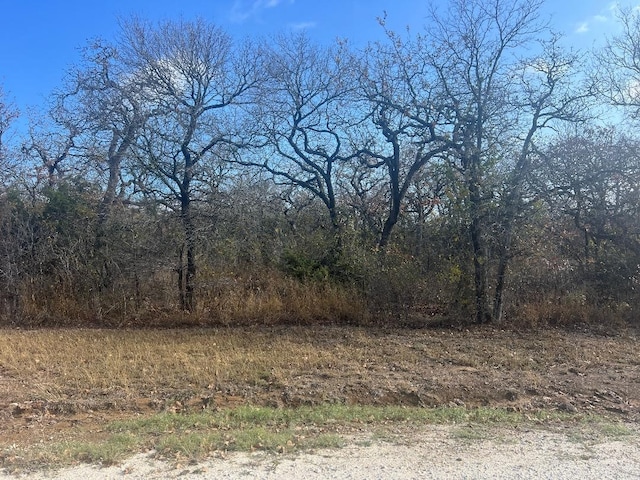 TBD Hcr-1248, Whitney TX, 76692 land for sale