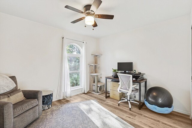 office area with ceiling fan and light hardwood / wood-style flooring