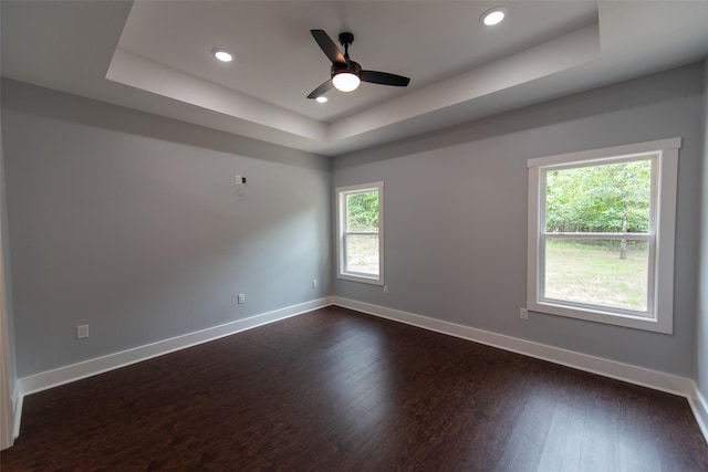 spare room featuring a tray ceiling, a wealth of natural light, and dark wood-type flooring