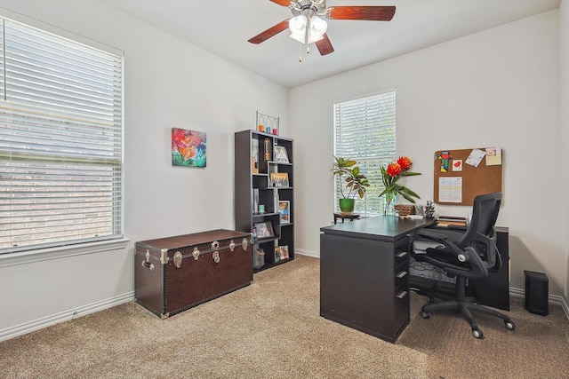 office space with ceiling fan and carpet floors