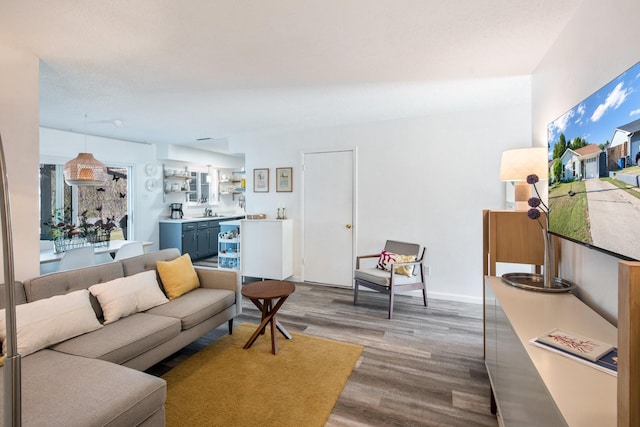 living room featuring sink and light hardwood / wood-style flooring