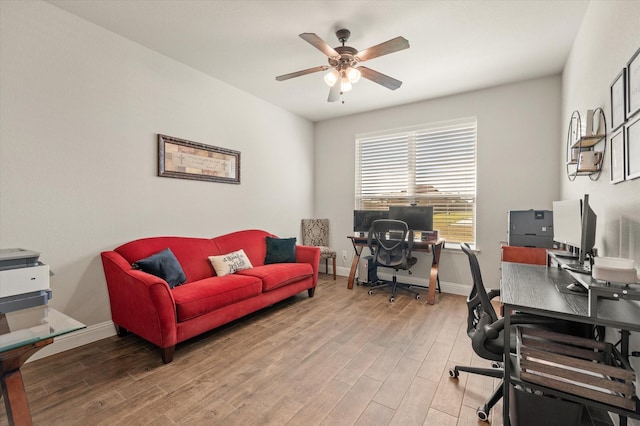 office area featuring hardwood / wood-style flooring and ceiling fan