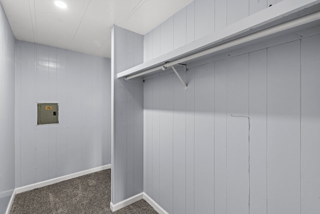 spacious closet featuring electric panel and carpet floors