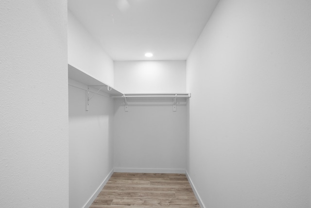 walk in closet with light wood-type flooring