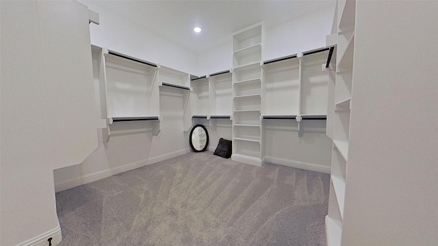 walk in closet featuring carpet