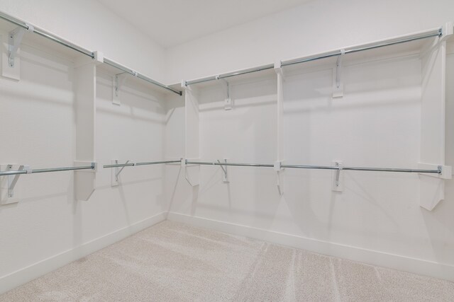 spacious closet with carpet