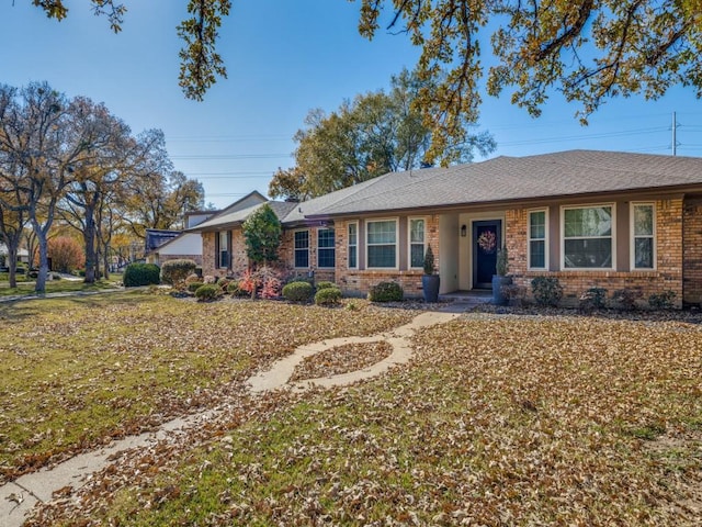 ranch-style house featuring a front yard