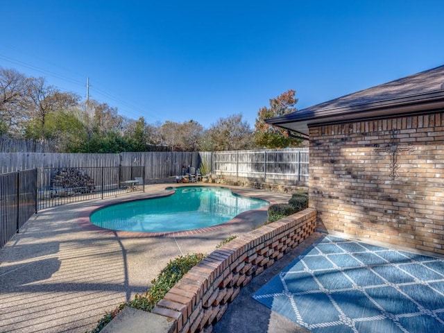 view of pool with a patio area