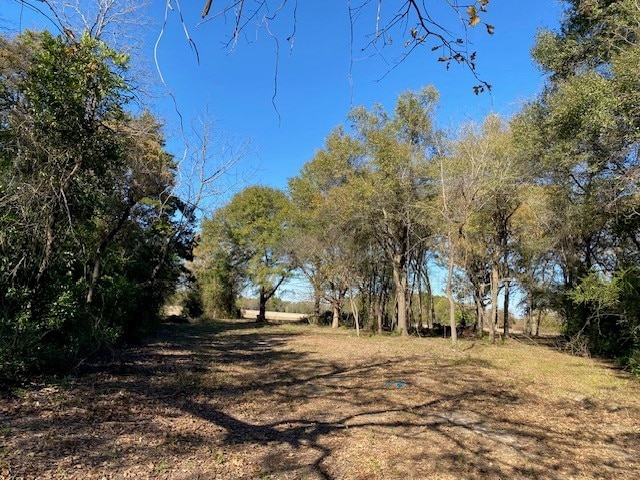 TR8 US Highway 175, Athens TX, 75752 land for sale